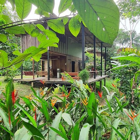 Amazona Lodge 莱蒂西亚 外观 照片