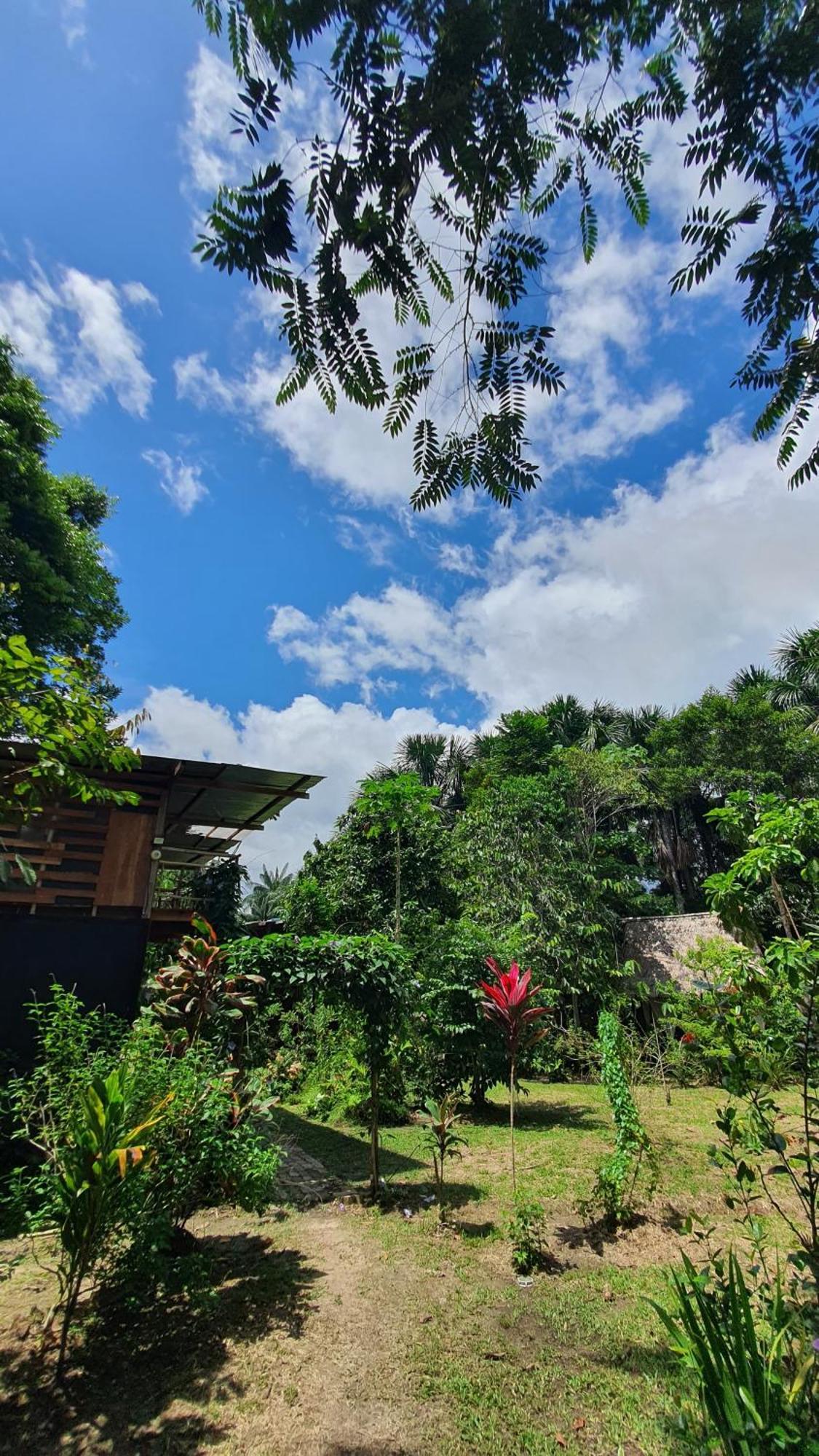 Amazona Lodge 莱蒂西亚 外观 照片