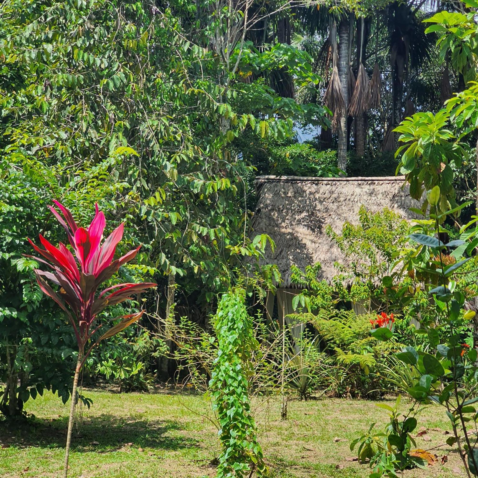 Amazona Lodge 莱蒂西亚 外观 照片