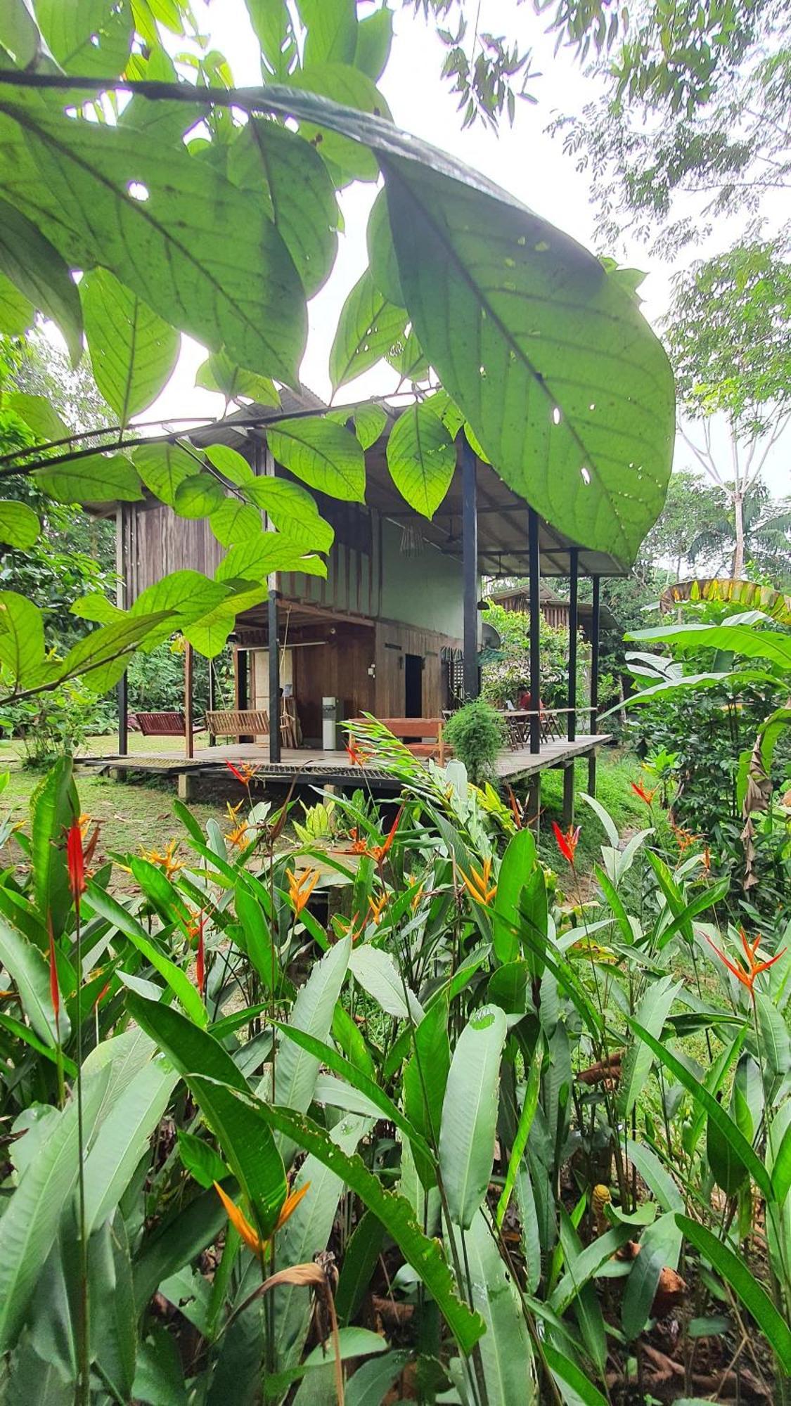 Amazona Lodge 莱蒂西亚 外观 照片