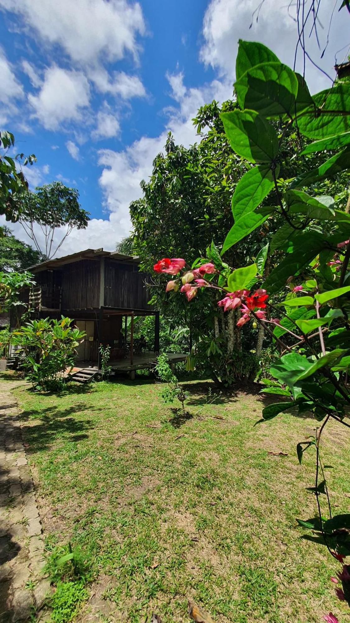 Amazona Lodge 莱蒂西亚 外观 照片