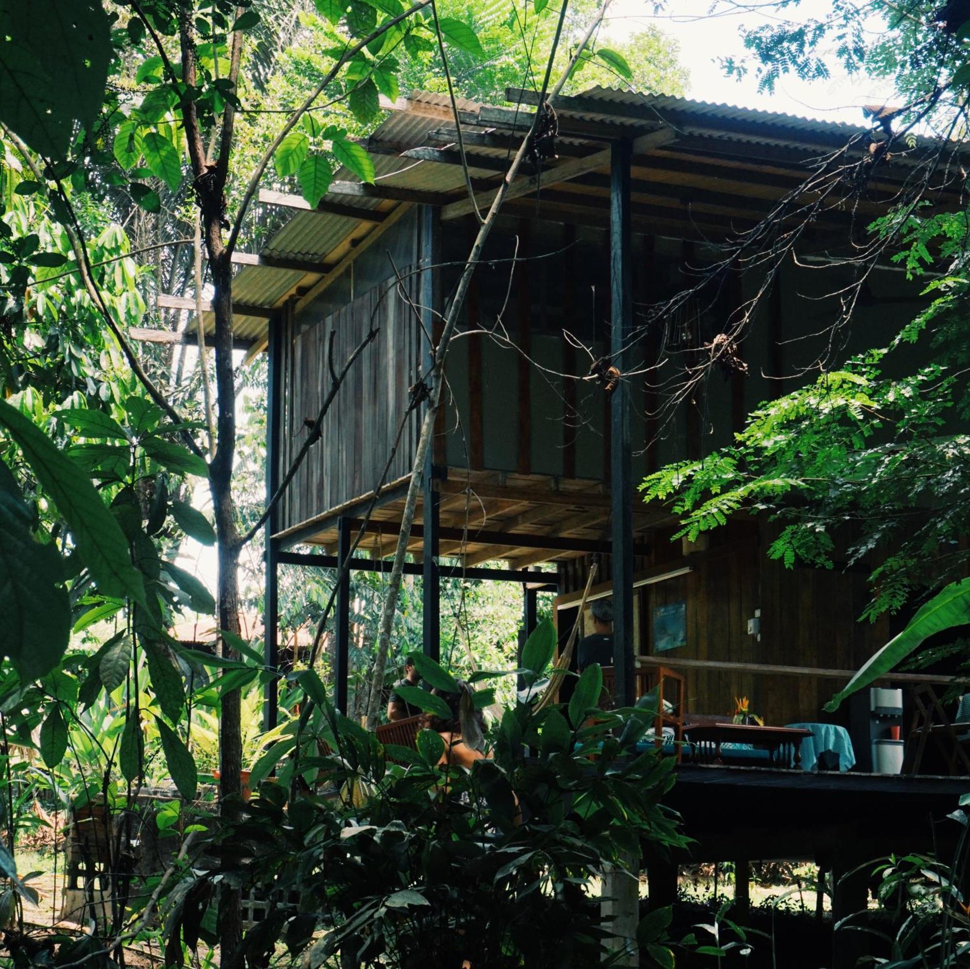 Amazona Lodge 莱蒂西亚 外观 照片